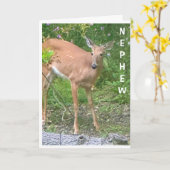 CARTE **COOL CHER** DIT HEUREUX ANNIVERSAIRE NEPHEW (Fleur jaune)