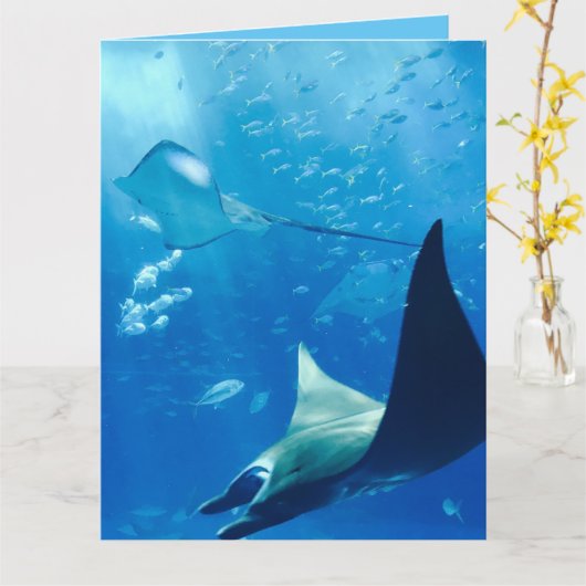 Carte Cool Stingrays Underwater  (Fleur jaune)