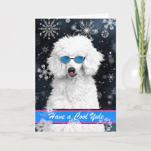 Carte Cool Yule Noël caniche blanche avec des flocons de (Devant)