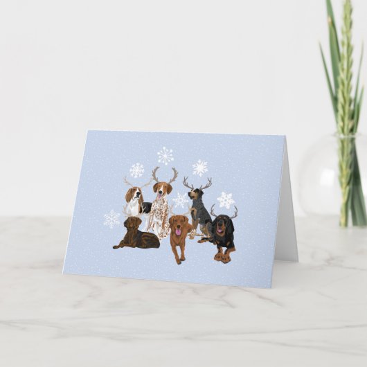 Carte Coonhound Deer (Devant)