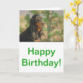 Carte Coonhound noir et bronzage (Fleur jaune)