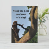 Carte Cooper Hawk Well Wings (Debout devant)