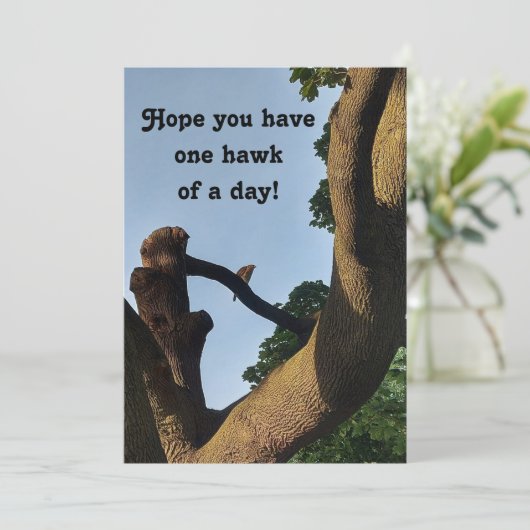 Carte Cooper Hawk Well Wings (Debout devant)