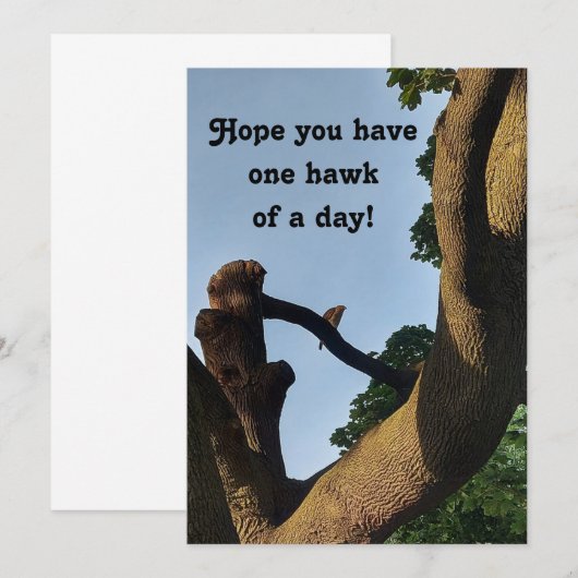 Carte Cooper Hawk Well Wings (Devant / Derrière)