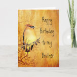 Carte Copper Cedar Waxwing Bird Brother Birthday<br><div class="desc">Copper Cedar Waxwing Bird l Birthday for your Brother</div>