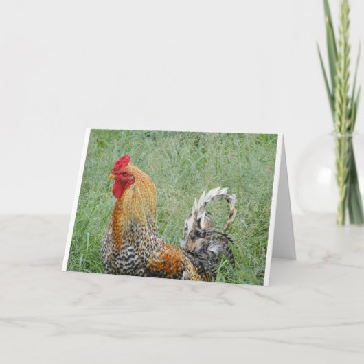 Carte Coq (Devant)