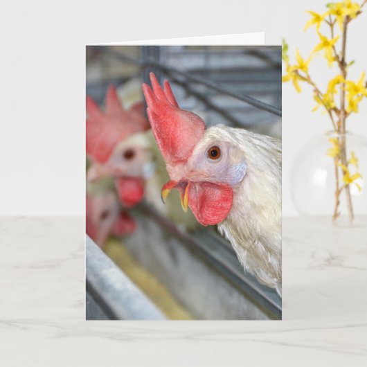 Carte Coq Anniversaire En Cage (Fleur jaune)