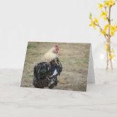 Carte Coq Araucana (Fleur jaune)
