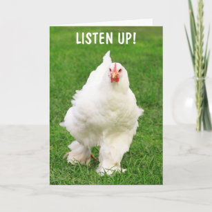 Cartes De Vœux Humour Coq Zazzle Be