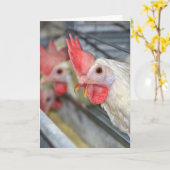 Carte coq d'anniversaire humoristique en cage (Fleur jaune)