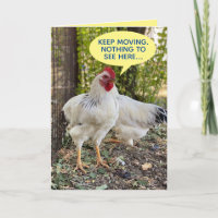 Coq Dirigeant Le Trafic 4 Sur La Colline Poulet