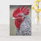 Carte Coq dit bonjour (Fleur jaune)