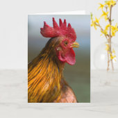 Carte Coq dit bonjour (Fleur jaune)