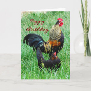 Cartes De Vœux Humour Coq Zazzle Be