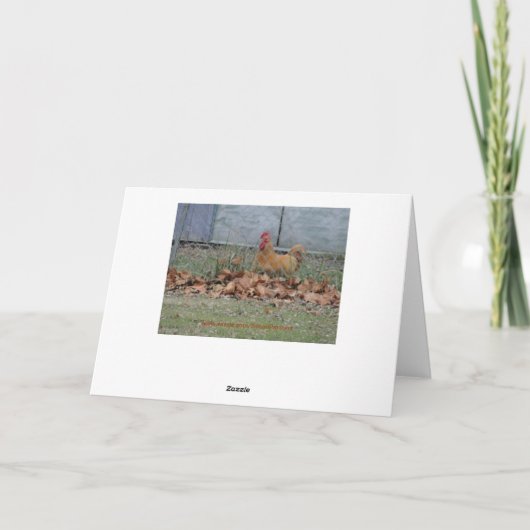 Carte Coq, félicitations (Dos)