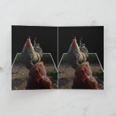 Carte Coq Fluffy Avec Hen, (Intérieur)