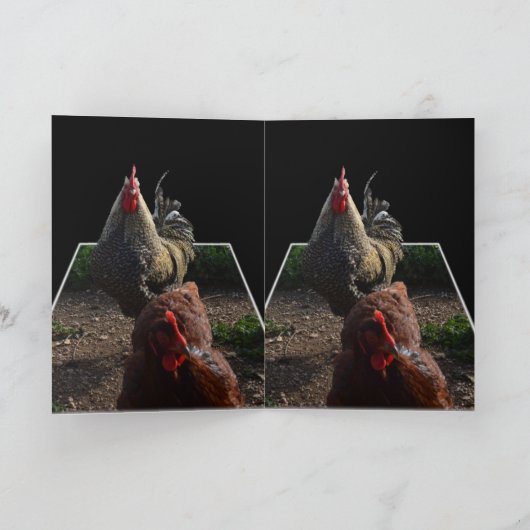 Carte Coq Fluffy Avec Hen, (Intérieur)