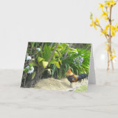 Carte Coq Nature Vierge (Fleur jaune)