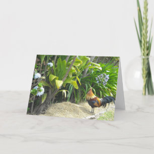 Carte Coq Nature Vierge