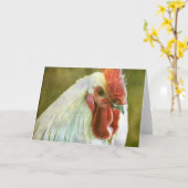 Carte Coq Toutes les occasions (Fleur jaune)