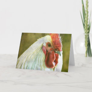 Carte Coq Toutes les occasions