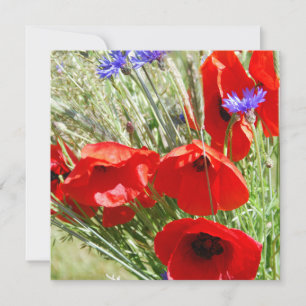 Carte Coquelicot, Jardin de Cottage photo