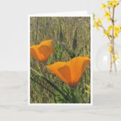 Carte Coquelicots dorés - 2 (Fleur jaune)