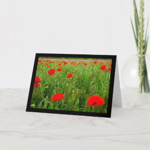 Carte Coquelicots et fleurs sauvages