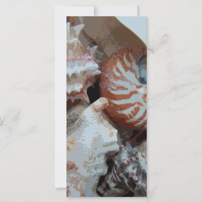 Carte Coques de plage de Floride (Devant)