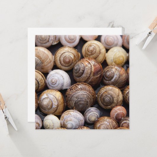Carte Coques des escargots (Devant/Arrière en situation)