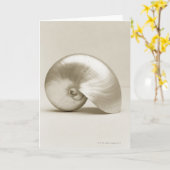 Carte Coquillage de Nautilus de perle (Fleur jaune)