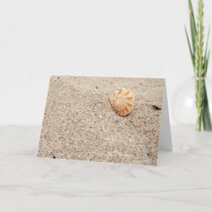 Carte Coquillage sur la plage