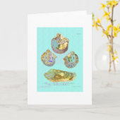 Carte Coquillage sur le bleu d'oeufs de merles (Fleur jaune)