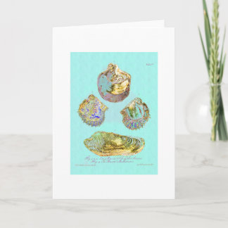 Carte Coquillage sur le bleu d'oeufs de merles