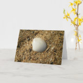 Carte Coquille blanche sur la plage (Fleur jaune)