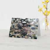 Carte Coquilles sur la plage (Fleur jaune)