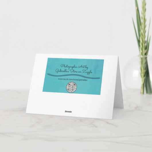 Carte Corail Orange Red Rose Art Note (Dos)