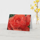 Carte Corail Orange Red Rose Art Note (Fleur jaune)