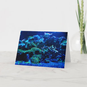 Carte Corail tropical