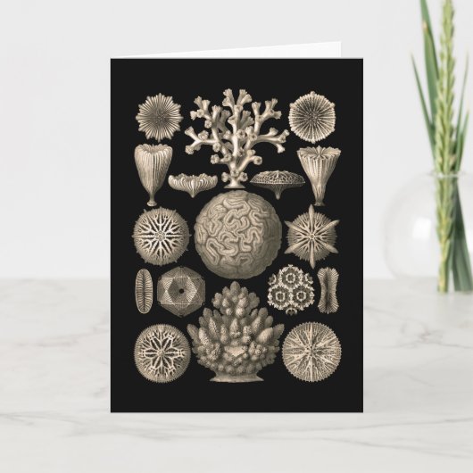 Carte Coral (Devant)