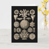 Carte Coral (Fleur jaune)