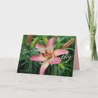 Coral Lily Sympathy