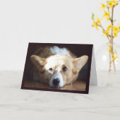 Carte Corgi Art Photographique (Fleur jaune)