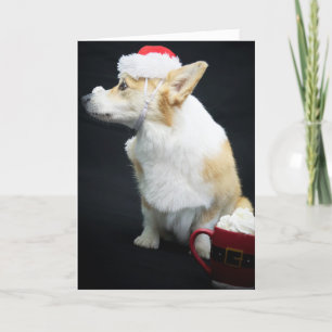 Carte Corgi avec de la crème fouettée sur le nez de Noël