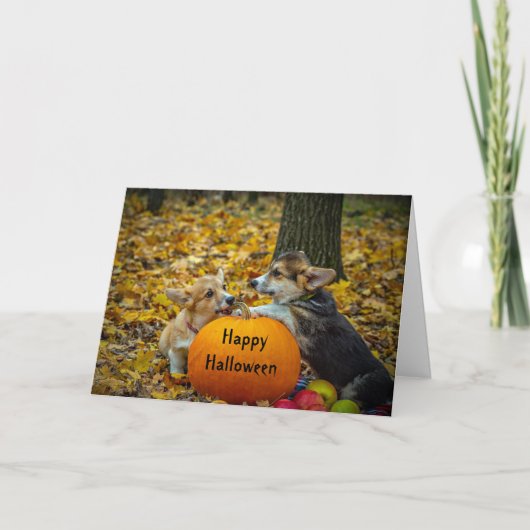 Carte Corgi Chien Citrouille Automne Photo Halloween (Devant)