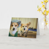 Carte Corgi Dr. et repos et sensation d'infirmière (Fleur jaune)