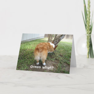Carte Corgi drôle