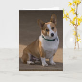 Carte Corgi Portrait (Fleur jaune)