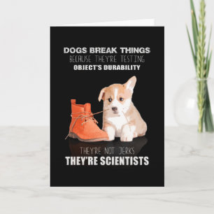Carte Corgi Puppy Chien Ils ne sont pas Jerk Ils sont sc