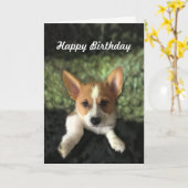 Carte Corgi Puppy Joyeux anniversaire (Fleur jaune)